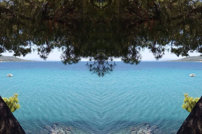 Το Δάσος Και η Θάλασσα